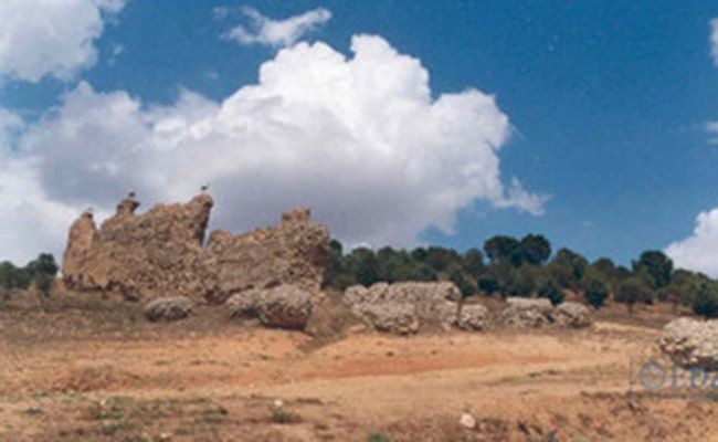 Belver de los Montes