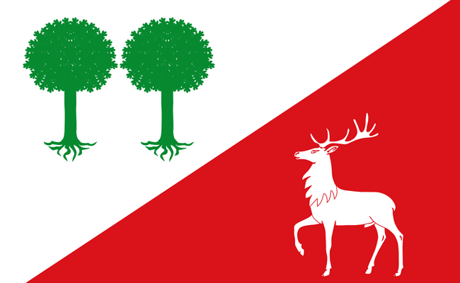 Bandera de Robleda-Cervantes