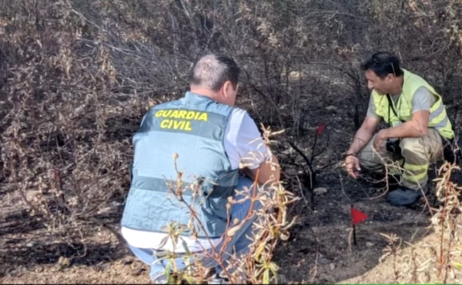 La Guardia Civil detiene a dos personas por los incendios forestales de Cerezal de Aliste y Santa Eufemia del Barco