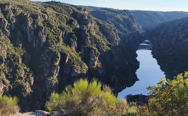 La roña de nuestra cobardía