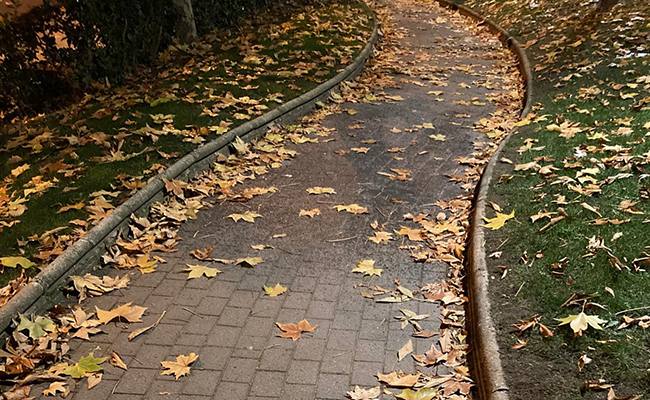 La ciudad otoño