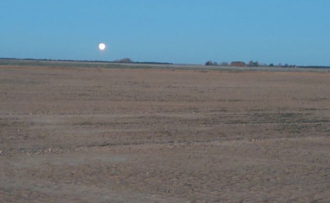 Terrenos de Barcial, sin máquinas, al ocaso de ayer