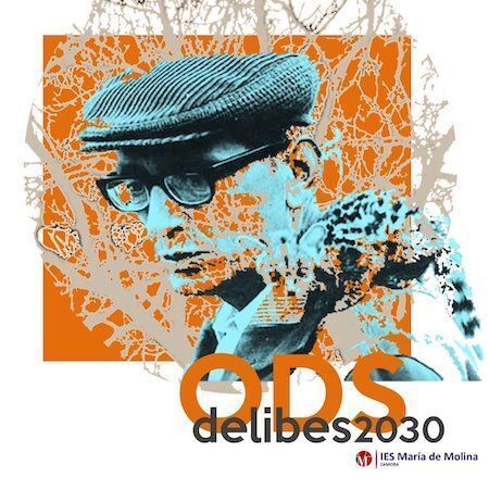 Imagen del proyecto zamorano