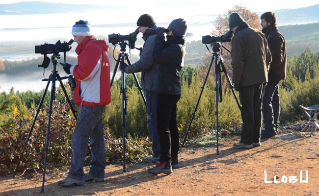 Espera al amanecer (Foto Llobu)