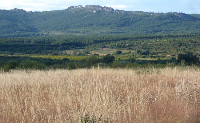 Figueruela de Arriba