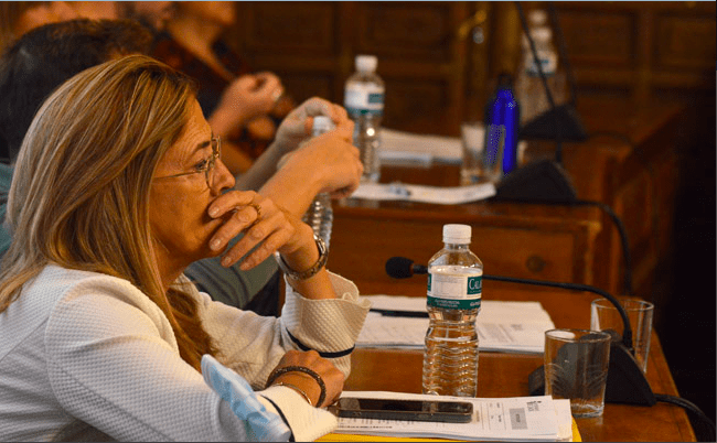Mayte Martín Pozo, en un pleno municipal