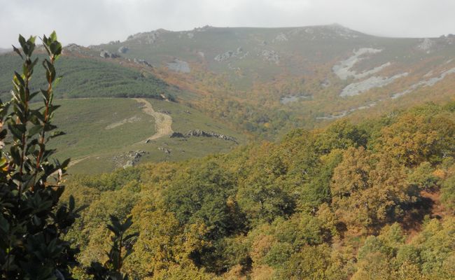 Muelas de los Caballeros