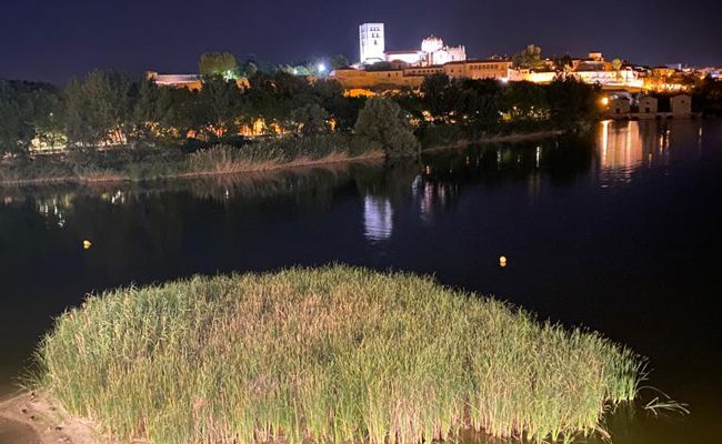 Indalecio Álvarez Campano