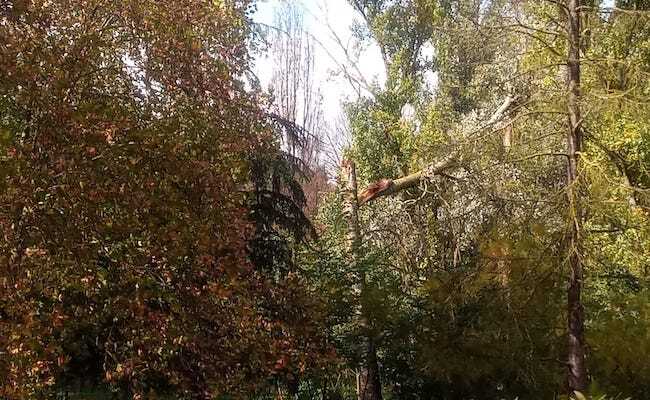 Fotografías: Esteban Pedrosa