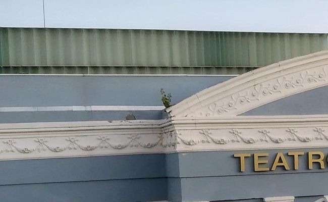 Fachada del teatro, con algunas malas hierbas entre sus molduras