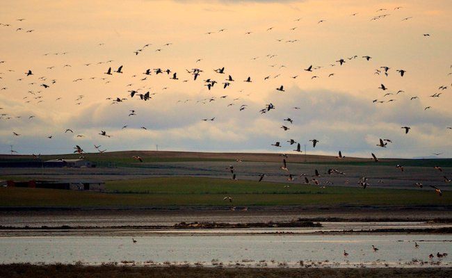 Imagen de las lagunas zamoranas
