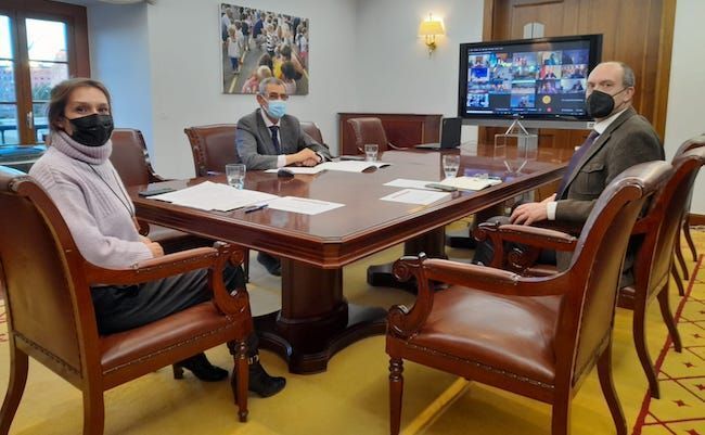 Imagen del encuentro telemático