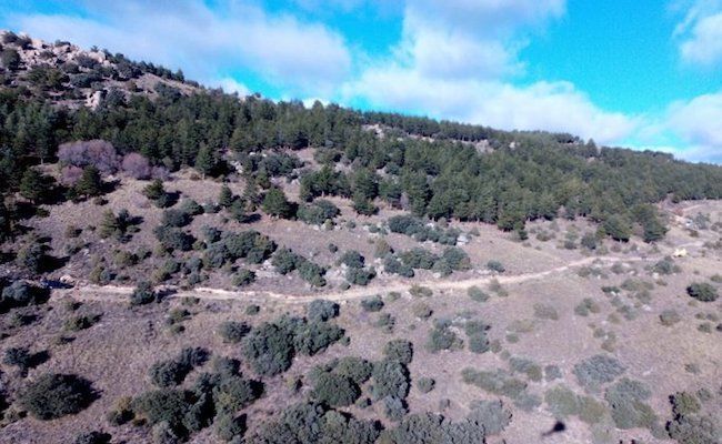 Lugar del accidente (Fotografía de la JCyL)