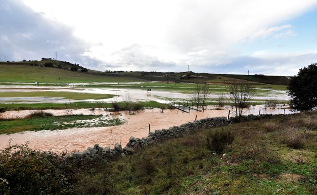 Valderrey: Campo de Golf (Esteban Pedrosa)